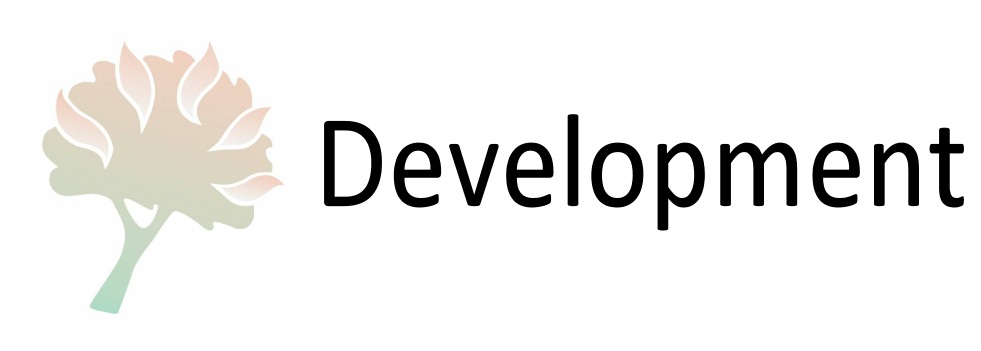 Development Button